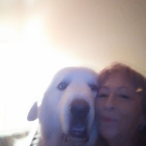 Meet your Posher, Allie princy